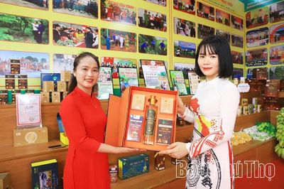 Đẩy mạnh phát triển thương mại điện tử trên địa bàn tỉnh