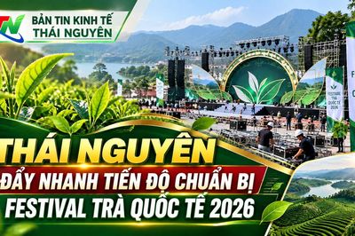 Thái Nguyên đẩy nhanh tiến độ chuẩn bị Festival Trà Quốc tế 2026
