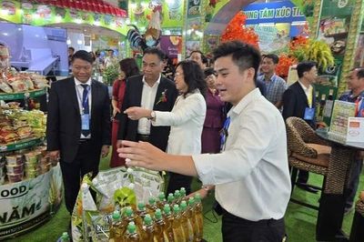 Xuất khẩu tại chỗ mở đường cho hàng Việt tiếp cận nhà mua hàng quốc tế