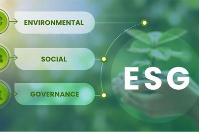 Sự cố ESG và chính sách chi trả cổ tức của doanh nghiệp: Bằng chứng từ rủi ro danh tiếng trên phạm vi toàn cầu