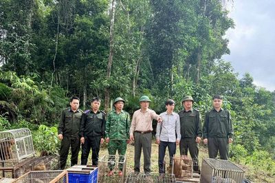 Thả 22 cá thể động vật hoang dã quý hiếm về môi trường tự nhiên