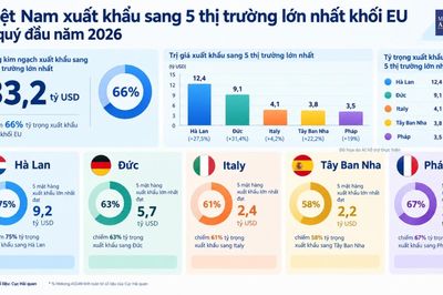 Nhóm hàng chủ lực Việt Nam xuất khẩu sang 5 thị trường lớn nhất EU