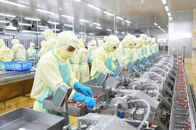 Cà Mau đưa thuỷ sản đến Thanh Đảo, mở rộng thị trường quốc tế
