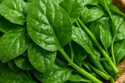 5 loại rau quen thuộc giúp hỗ trợ nhuận tràng, cải thiện tình trạng táo bón hiệu quả