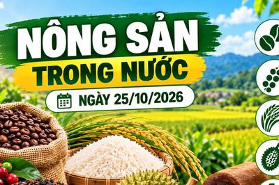 Nông sản trong nước ngày 25/10: Cà phê dưới 90.000 đồng/kg, sầu riêng giảm tại Đắk Lắk