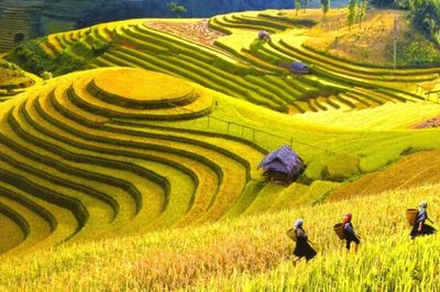 7 điểm đến ở Lai Châu đẹp mê vào mùa thu, vừa săn mây vừa check-in mùa vàng