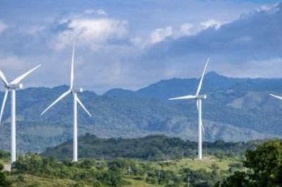 Đắk Lắk tiếp nhận hồ sơ ba dự án điện gió, có đề xuất của BCG Energy
