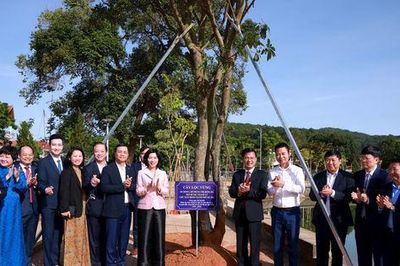 Nghĩa tình thủy chung, son sắt Hà Nội - Lâm Đồng