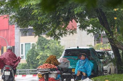 Vì sao miền Bắc nắng nóng ngột ngạt, nhiệt độ tới 35 độ C vào cuối thu dù xuất hiện không khí lạnh?