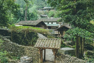 Bên trong 'làng Địa ngục' giữa rừng già Yên Minh