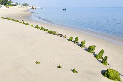 Tàu cổ Cẩm An sẽ được khai quật khi nào?