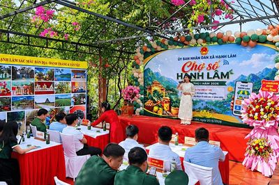 Nghệ An:Chợ truyền thống vắng khách, tiểu thương tìm hướng kinh doanh trên không gian số