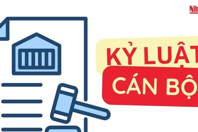 Đà Nẵng: Thi hành kỷ luật khai trừ ra khỏi Đảng đối với 10 đảng viên vi phạm
