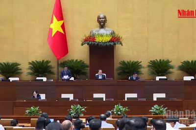 [Video] Trình Quốc hội tăng 50% mức phạt hành chính tối đa