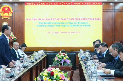 Xúc tiến dự án nhà máy gỗ công nghiệp Việt – Đức ở Gia Lai