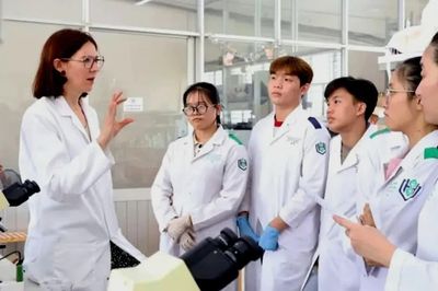 TPHCM phấn đấu thuộc nhóm 5 địa phương dẫn đầu về thu hút nhân tài