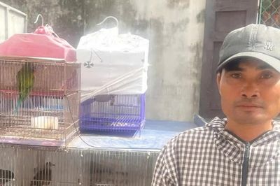 Khởi tố người đàn ông mua bán 36 con chim hoang dã ở Ninh Bình