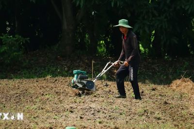 Cần Thơ: Chủ động giữ nguồn nước ngọt, bảo đảm sinh kế người dân