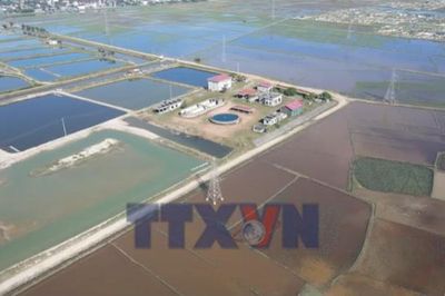Dự án xử lý nước thải gần 400 tỷ đồng bỏ hoang nhiều năm