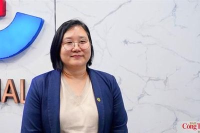 Phát triển đơn vị truyền tải điện độc lập: Nhìn từ kinh nghiệm quốc tế