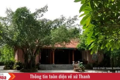 Linh thiêng Phủ Tía