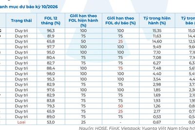 Dự báo một cổ phiếu bất động sản sắp bị loại khỏi VNDiamond