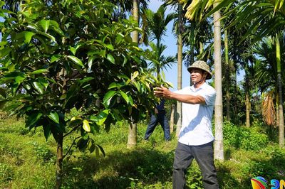 Đồng lòng dựng xây quê hương