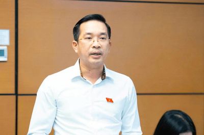 Đại biểu Quốc hội thành phố Đà Nẵng góp ý hoàn thiện các dự án luật về an ninh, an toàn