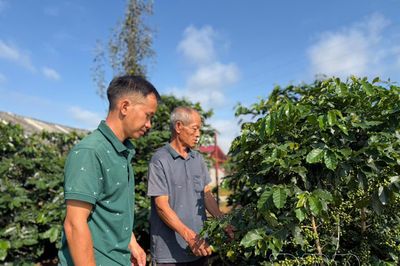 Những người trẻ làm mới quê hương