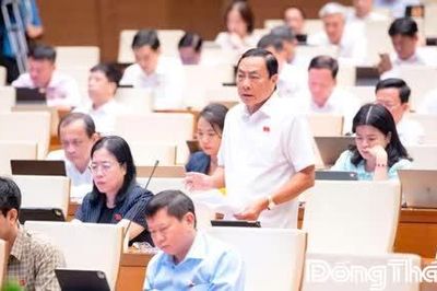 Đại biểu Quốc hội tỉnh Đồng Tháp tích cực thảo luận, góp ý hoàn thiện các dự thảo luật