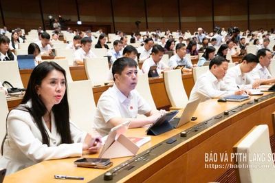Đoàn đại biểu Quốc hội tỉnh góp ý vào một số dự án luật tại kỳ họp thứ hai