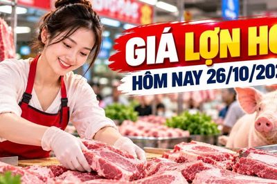 Giá lợn hơi hôm nay 26/10: Nhiều địa phương ở mức 46.000 - 47.000 đồng/kg