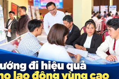 Hướng đi hiệu quả cho lao động vùng cao
