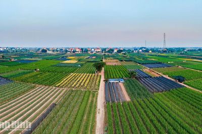 "Đánh thức" tiềm năng, nâng giá trị vùng đất bãi ven sông