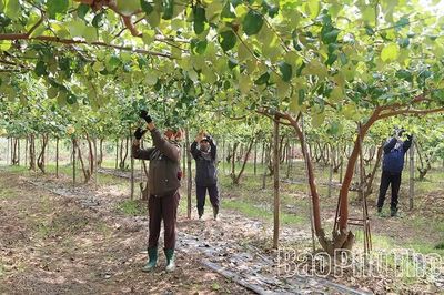 Tam Nông ứng dụng khoa học công nghệ vào sản xuất