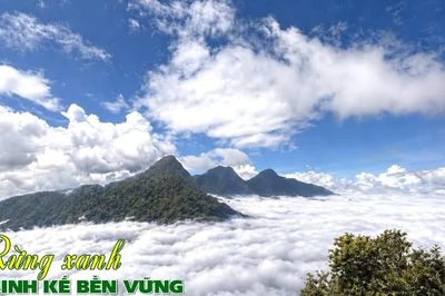 Rừng xanh, sinh kế bền vững