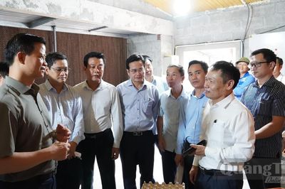 Đồng chí Bí thư Tỉnh ủy thăm một số mô hình sản xuất nông nghiệp công nghệ cao