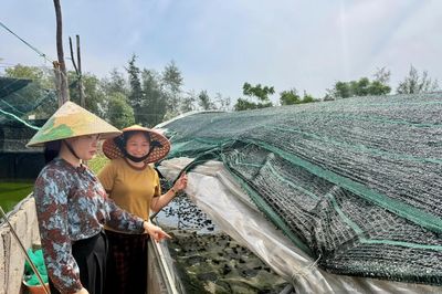 Sinh kế bền vững nhờ tín dụng chính sách