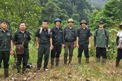 Để người trồng rừng 'sống khỏe' dưới tán rừng