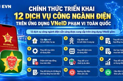 Triển khai 12 dịch vụ công ngành điện trên VNeID toàn quốc