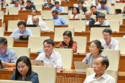 Vi phạm hành chính, cá nhân có thể bị phạt tiền tối đa 1,5 tỷ đồng