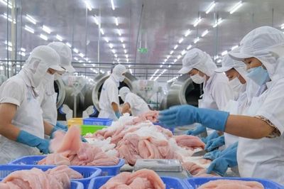Kết nối mạng lưới phân phối, mở rộng không gian xuất khẩu