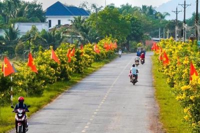 Tây Ninh ban hành bộ tiêu chí xây dựng nông thôn mới giai đoạn 2026 - 2030