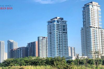 TP. Hồ Chí Minh: Quy định mới về các yếu tố ảnh hưởng đến giá đất