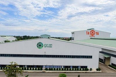 Cáp điện Taya (TYA): Dòng tiền kinh doanh âm gần 290 tỷ đồng, nợ vay tăng mạnh