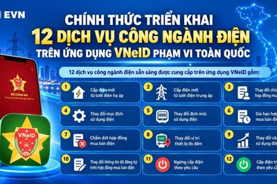 EVN triển khai 12 dịch vụ điện trên VNeID toàn quốc