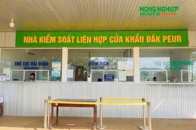 Kiến nghị đầu tư hạ tầng, phát huy tiềm năng thương mại biên giới Việt Nam – Campuchia