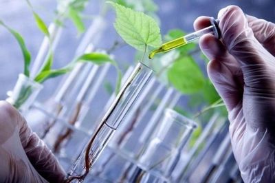 Tuyên Quang thúc đẩy phát triển công nghiệp sinh học trong nông nghiệp và môi trường