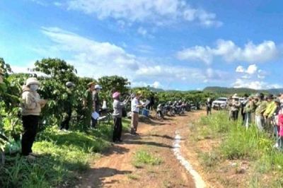 Đắk Lắk thu hồi đất lâm nghiệp bị lấn chiếm tăng cường bảo vệ rừng, phát triển bền vững