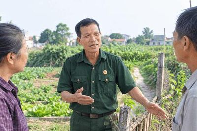 Từ vụ xô xát vì lối đi đến cái bắt tay hòa giải giữa hai gia đình